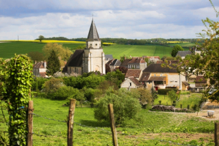 Ruralité