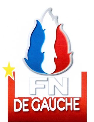 Logo FNG002
