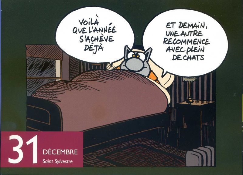 Saint sylvestre chat001