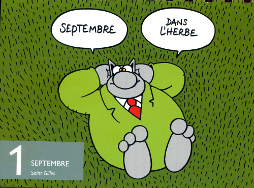 Chat septembre001