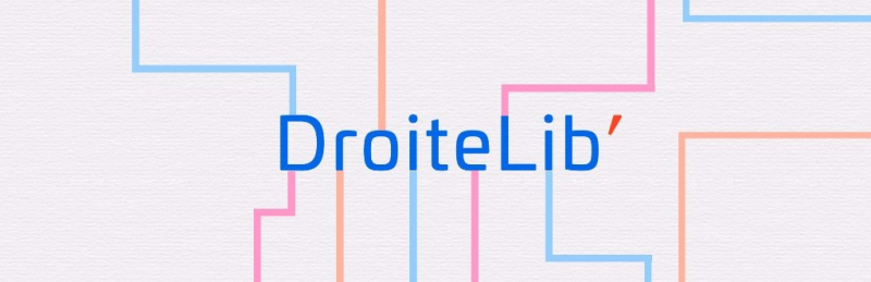 Logo droit lib Logo droit lib