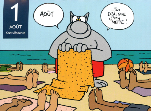 Reforme du permis  Le chat geluck, Conduite accompagnée, Humour